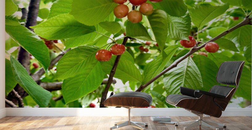 The Humble Crown of the Orchard Queen Wall Murals