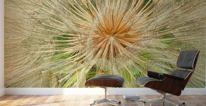 Nature’s Compass: All Directions One Origin Wall Murals