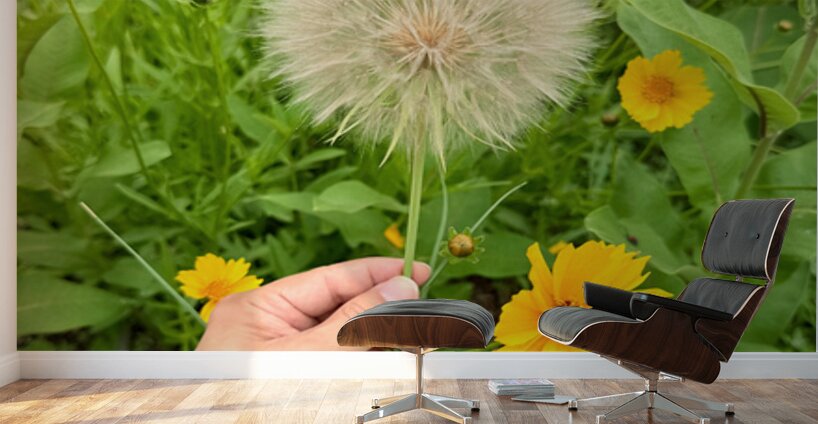 The Wild Stillness Between Wishes Wall Murals