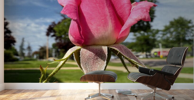 Unspoken Flame of the Garden’s Soul Wall Murals