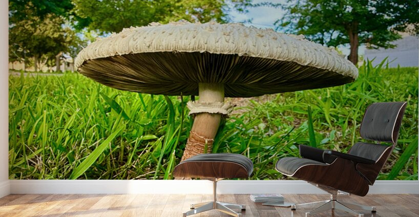 The Watcher in the Grass Wall Murals