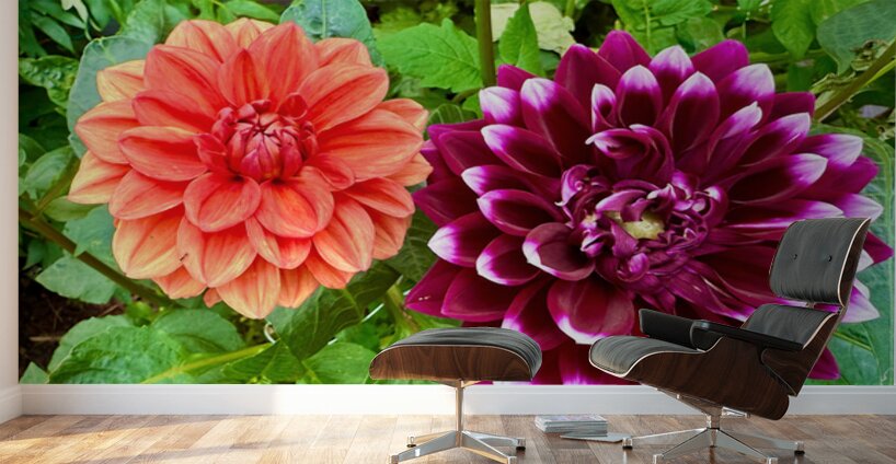 Harmony Blooms: When Opposites Flower Together Wall Murals