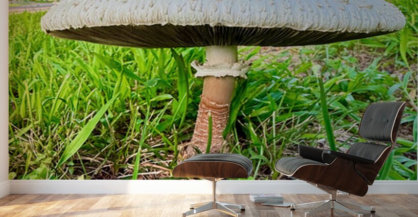 Pillar of the Undergrowth Wall Murals