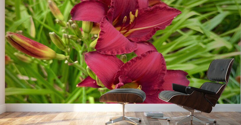 Flame of the Garden Wall Murals