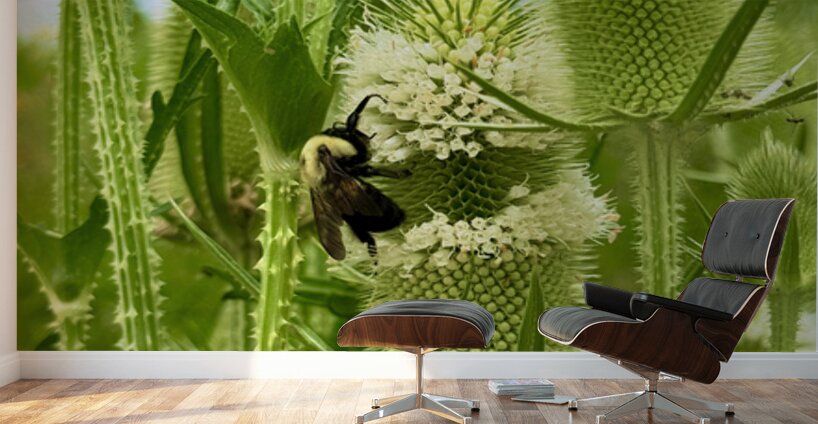 Wings and Spikes Wall Murals