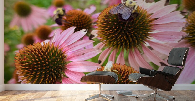 Garden Buzz Wall Murals