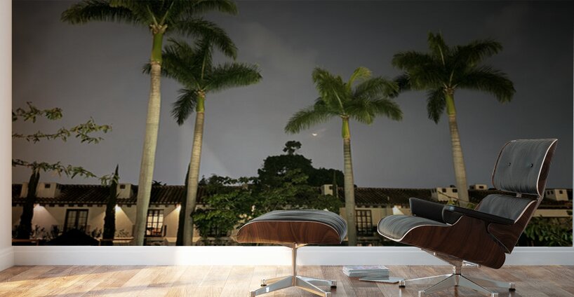 IMG 0438 Wall Murals