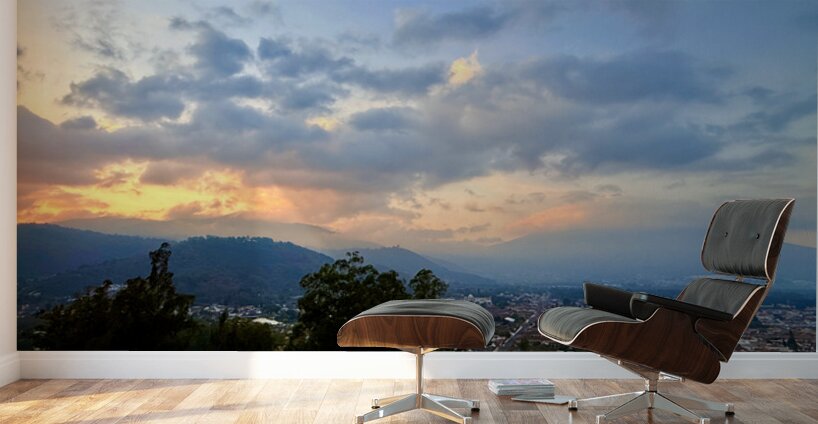 IMG 0501 Wall Murals