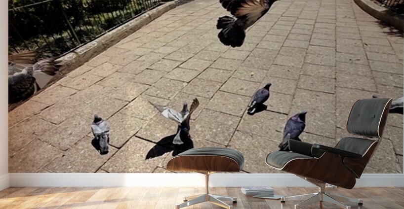 IMG 0279 Wall Murals