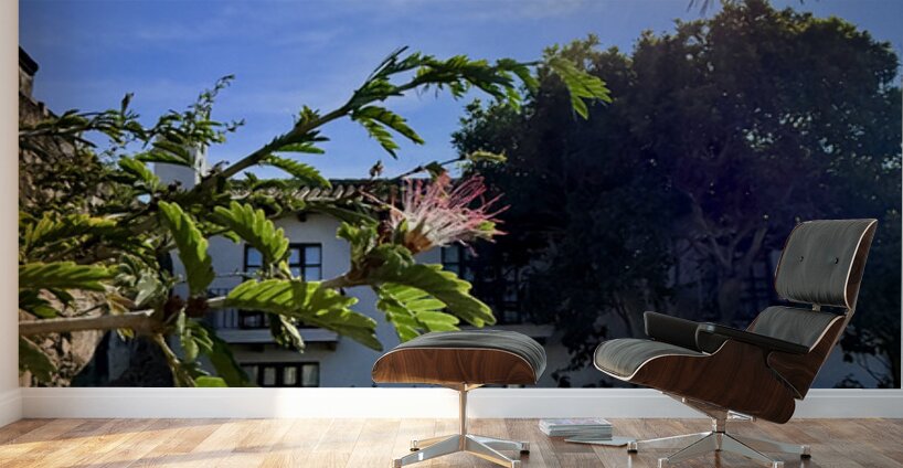 IMG 0025 Wall Murals