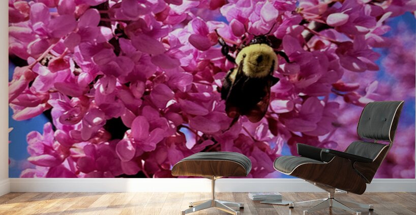 Nothing But Spring Wall Murals