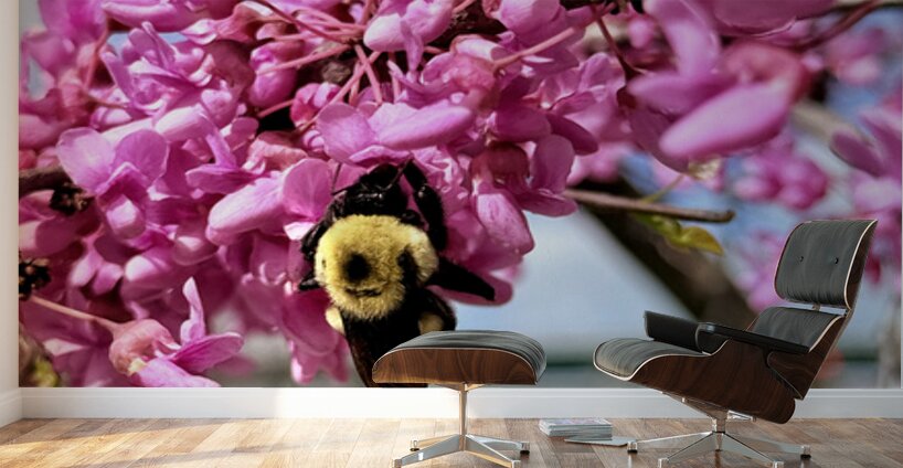 Wild at Heart Urban by Address Wall Murals