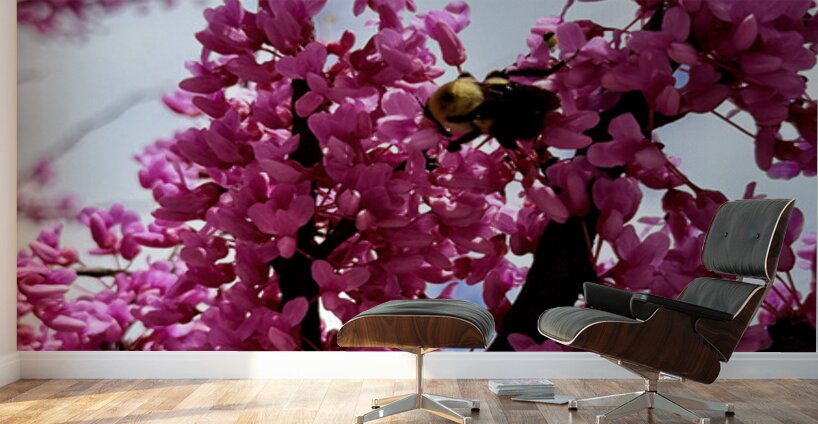 Branch & Bee Wall Murals
