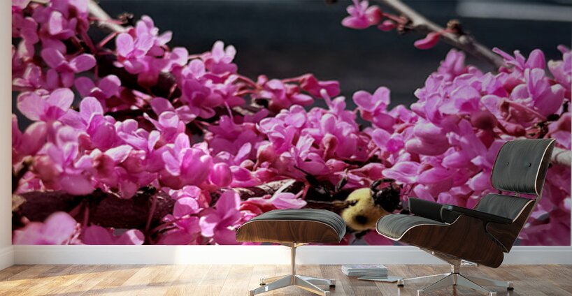 IMG 1627 Wall Murals