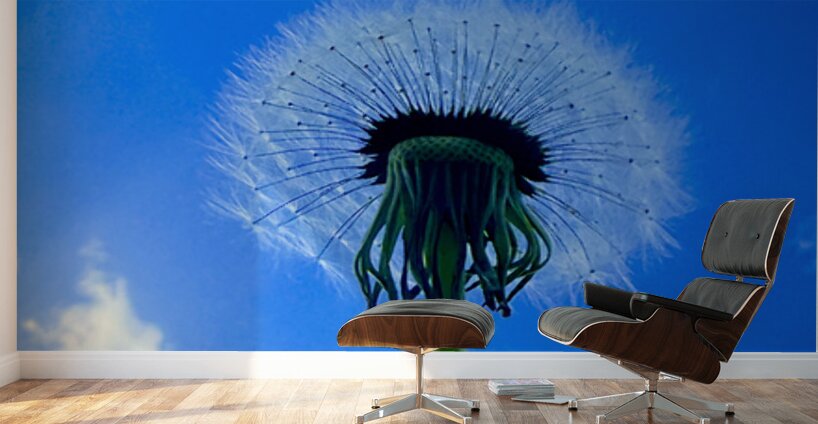 IMG 1762 Wall Murals