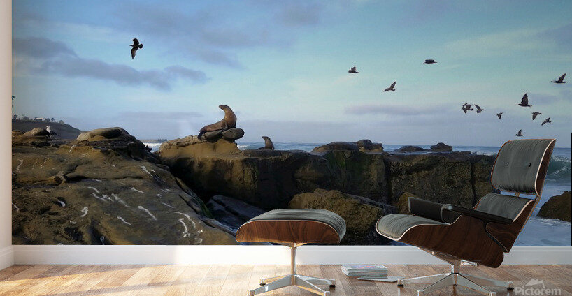 Seal Bird Watching 2 Wall Murals