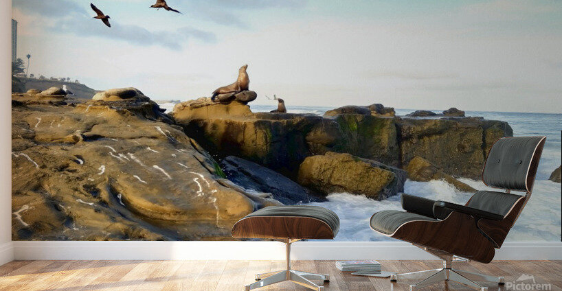 Seal Meditation Wall Murals