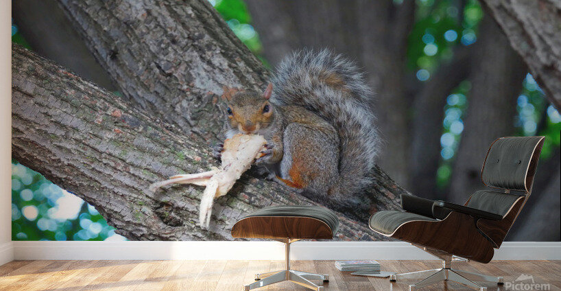 Yes I like Chicken Wings  Wall Murals