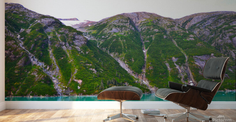 Majestic Mountains of Alaska 8 Wall Murals