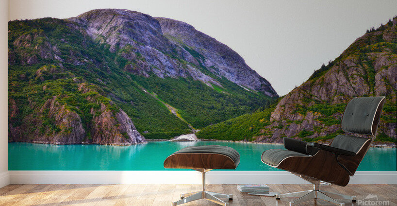 Majestic Mountains of Alaska 9 Wall Murals