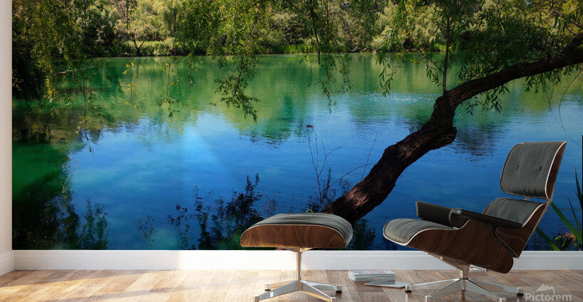 Pond Do 2 Wall Murals