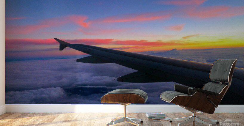 Flying into the Sunset 2 Wall Murals