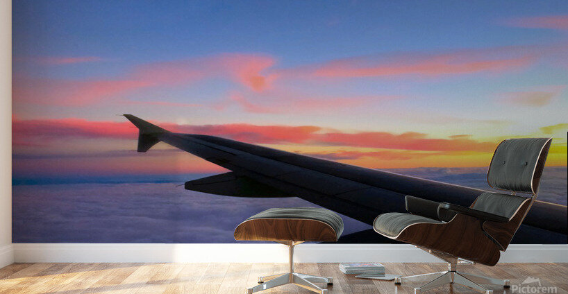 Flying into the Sunset 5 Wall Murals