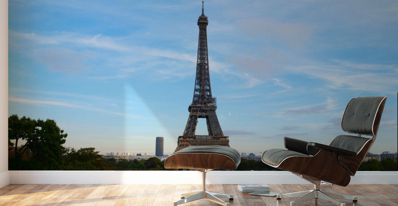 Eiffel Tower 2D Wall Murals
