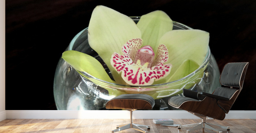 Glass Bloom Wall Murals