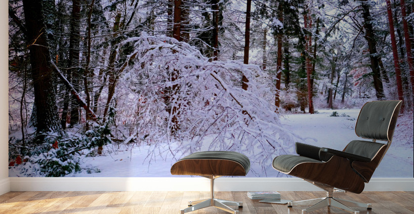 Bowing to Winter Wall Murals