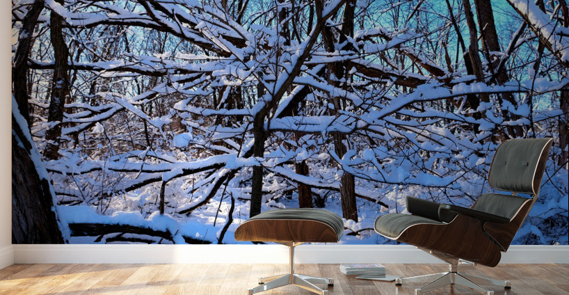 Frozen Limbs 2B Wall Murals