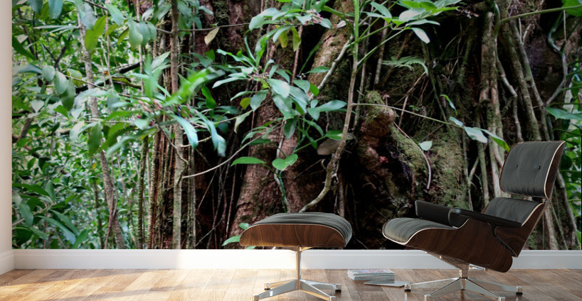 Hiking Hawaii 2 Wall Murals