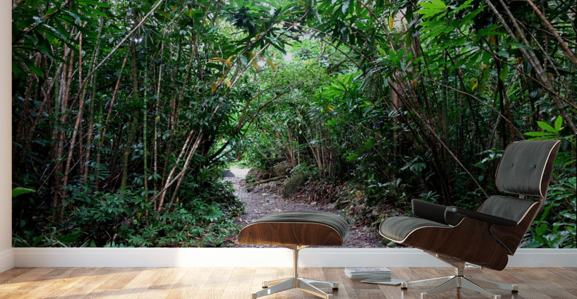 Hiking Hawaii Wall Murals