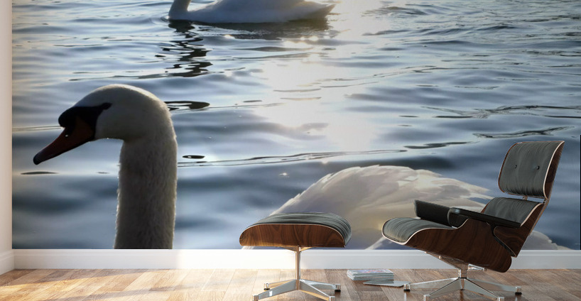 Wings of Love Pair 1B Wall Murals