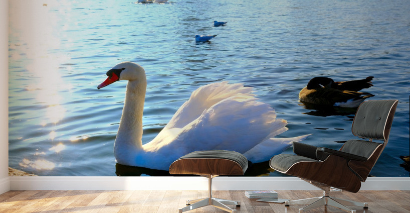 Wings of Love 4B Wall Murals