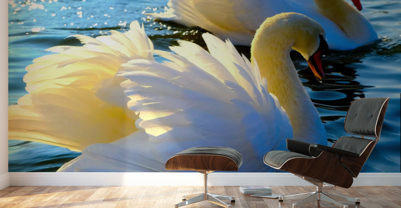 Wings of Love Pair 3 Wall Murals