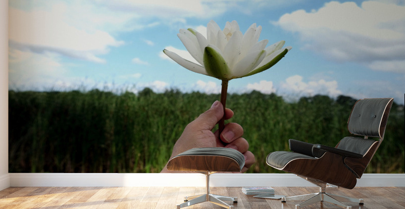 Gift to the Sky Wall Murals