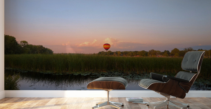 Solace in the Sky Wall Murals