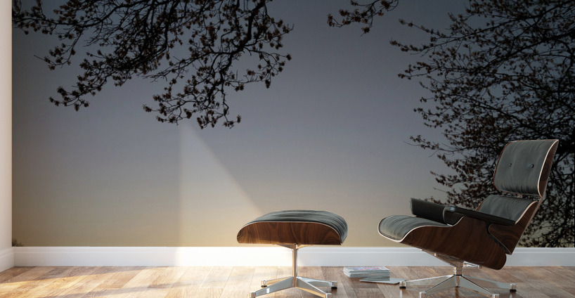 Golden Michigan Sunrise Wall Murals