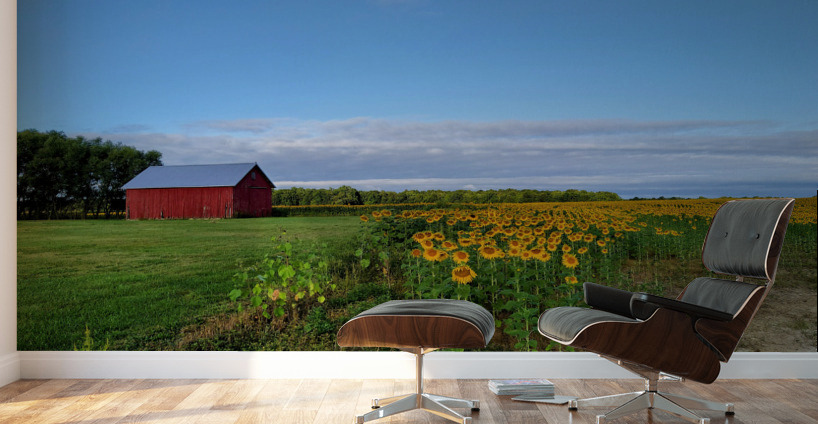 Barn & Blossoms Wall Murals