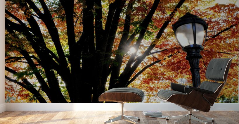 A Stroll in Color Wall Murals