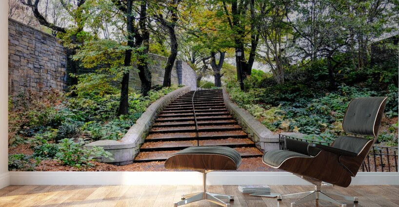Steps to Upper West Side  Wall Murals