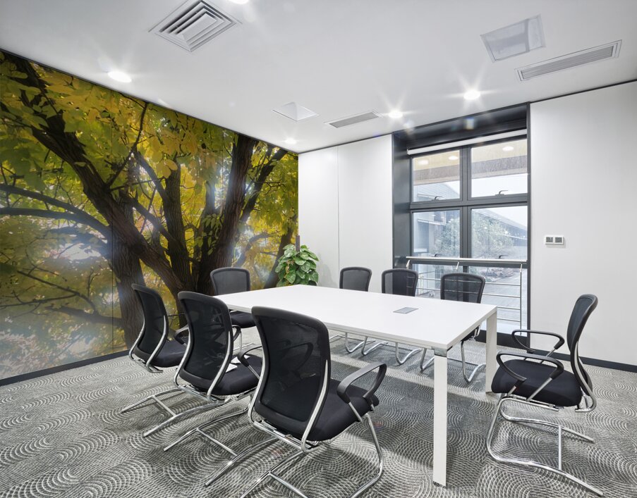 Fall Transition: Beneath the Light of Leaves Wall Printing