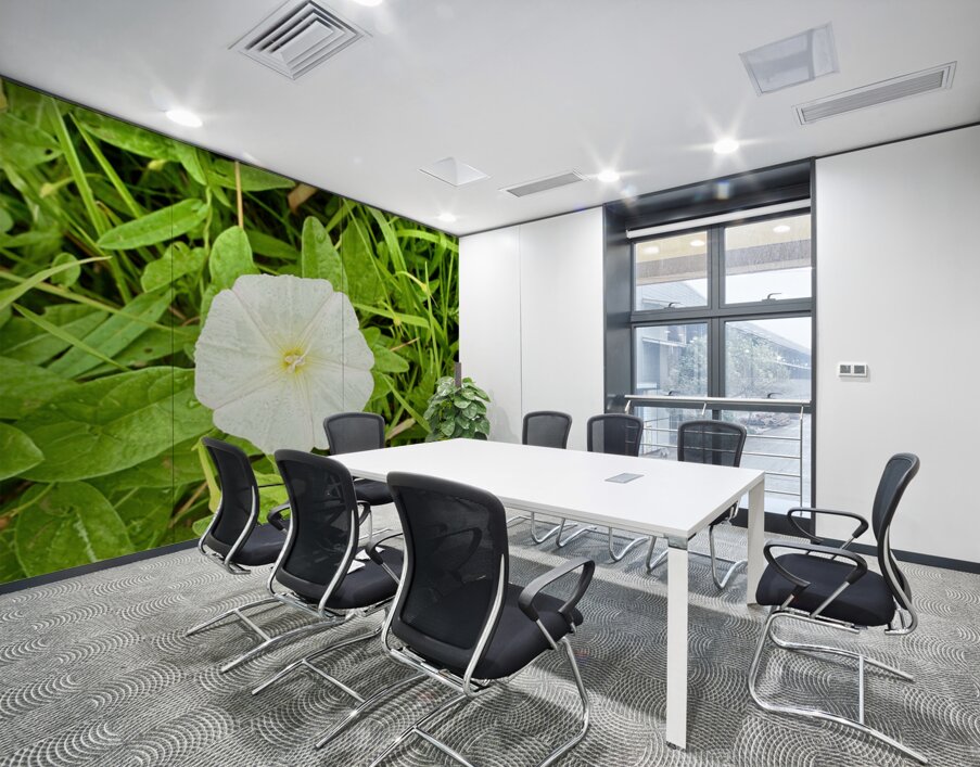 Bindweed Still Life in Nature Wall Printing