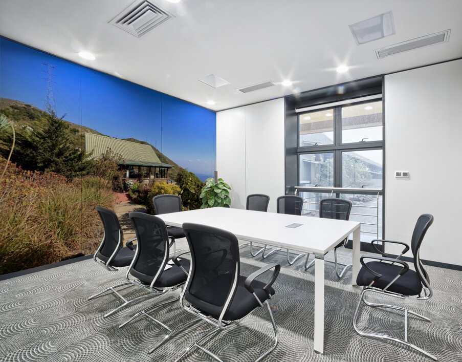 IMG 9695 Wall Printing