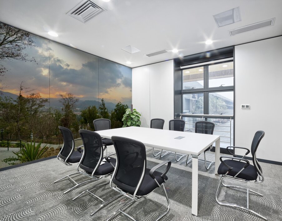 IMG 0479 Wall Printing