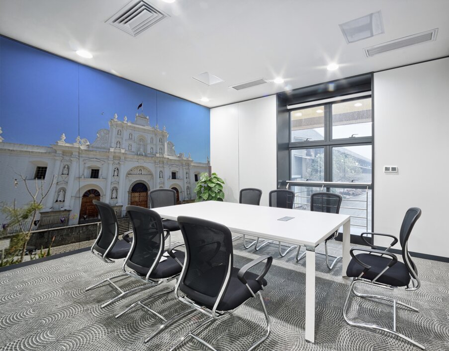 IMG 0284 Wall Printing