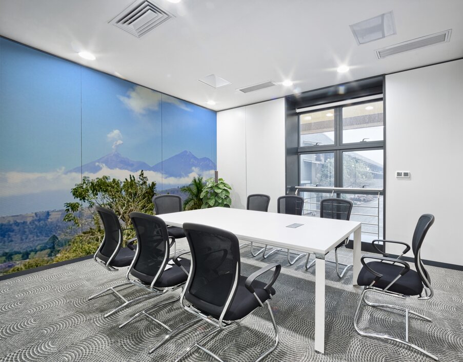 IMG 0158 Wall Printing