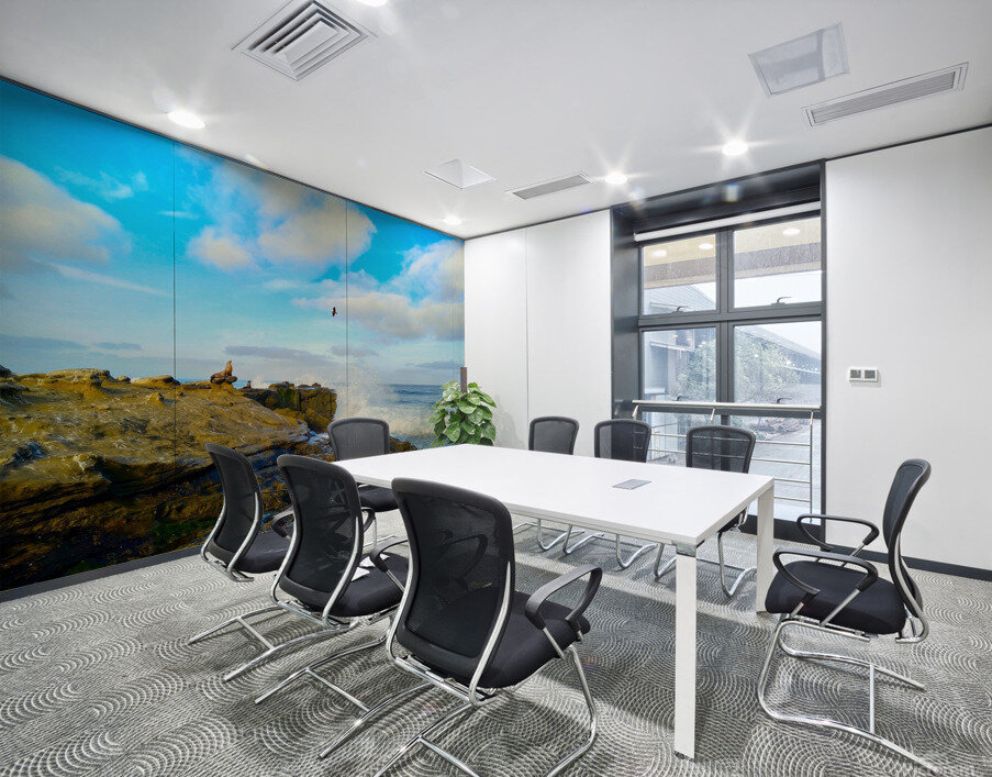 Seal Meditation 2 Wall Printing