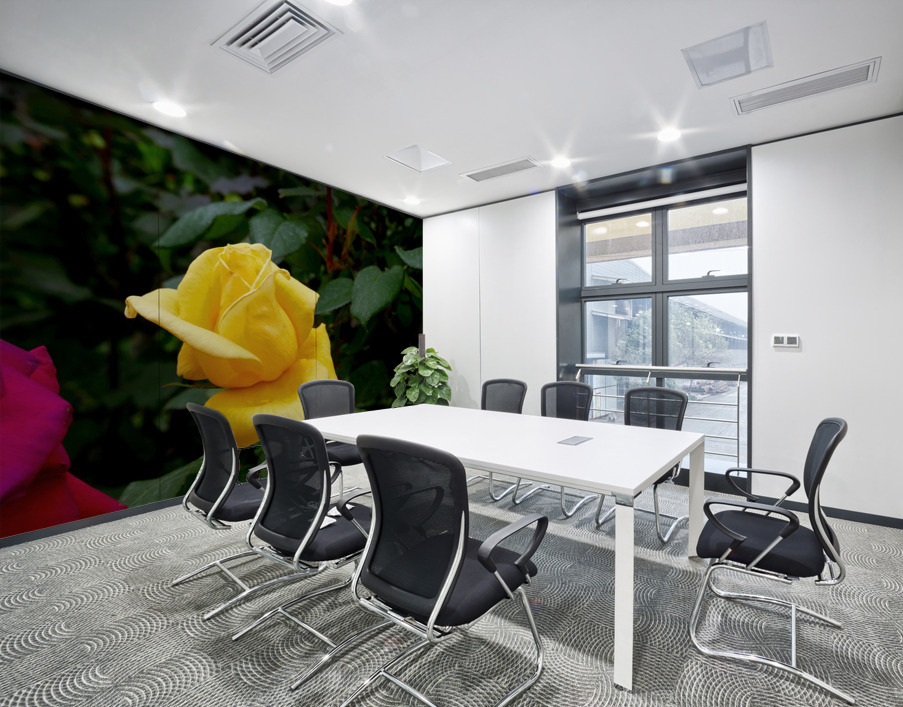 Yellow Rose Wall Printing